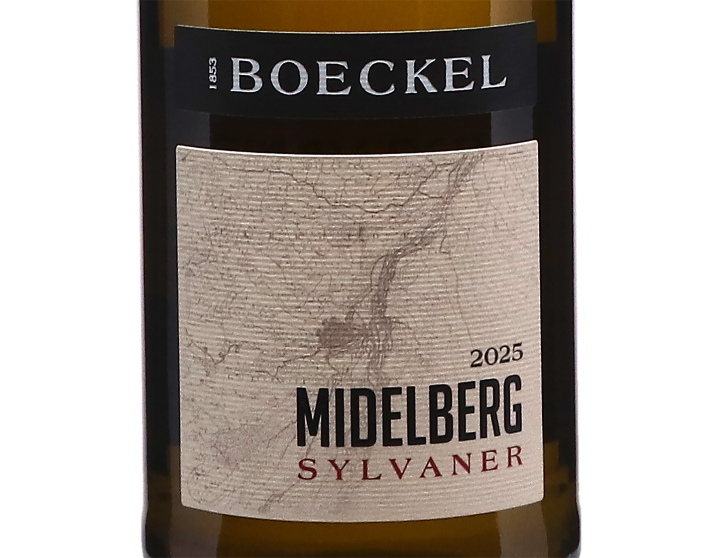 Sylvaner Midelberg Boeckel 2025 ORGANIC