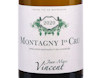 Jean Marc Vincent Montagny PC 2020 view 2