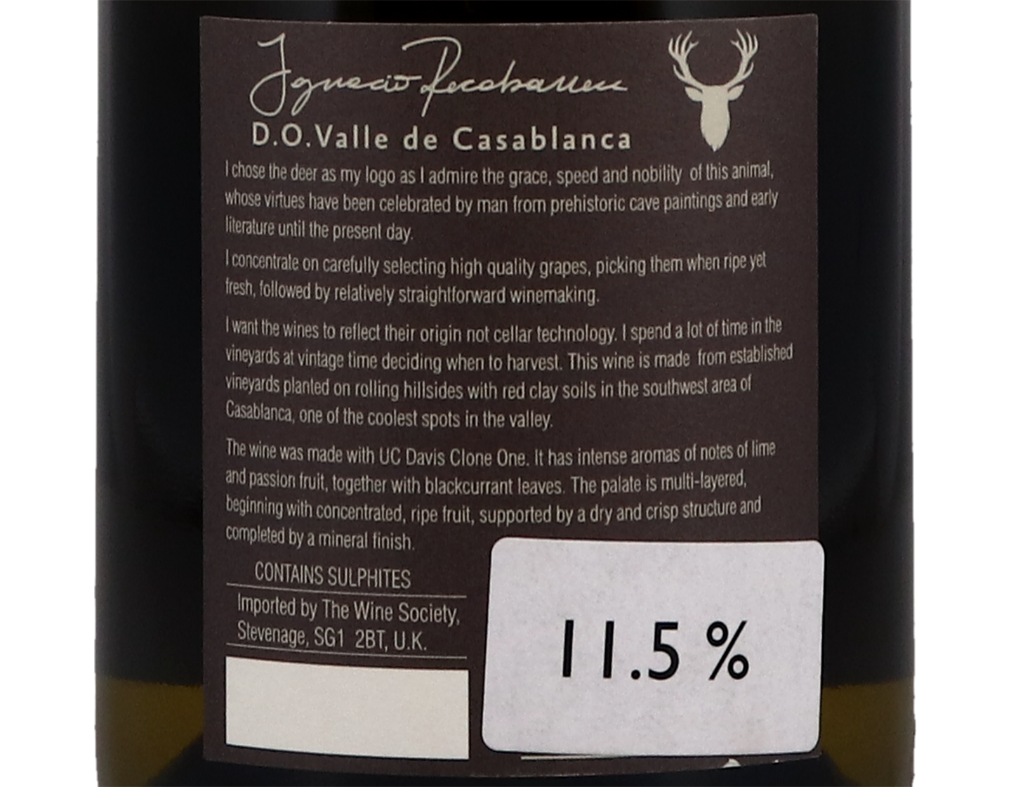 Ignacio Recabarren Casablanca Sauvignon Blanc 2021