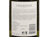 Undurraga Cauquenes Estate Maule Viognier Roussanne Marsanne 2022 view 3
