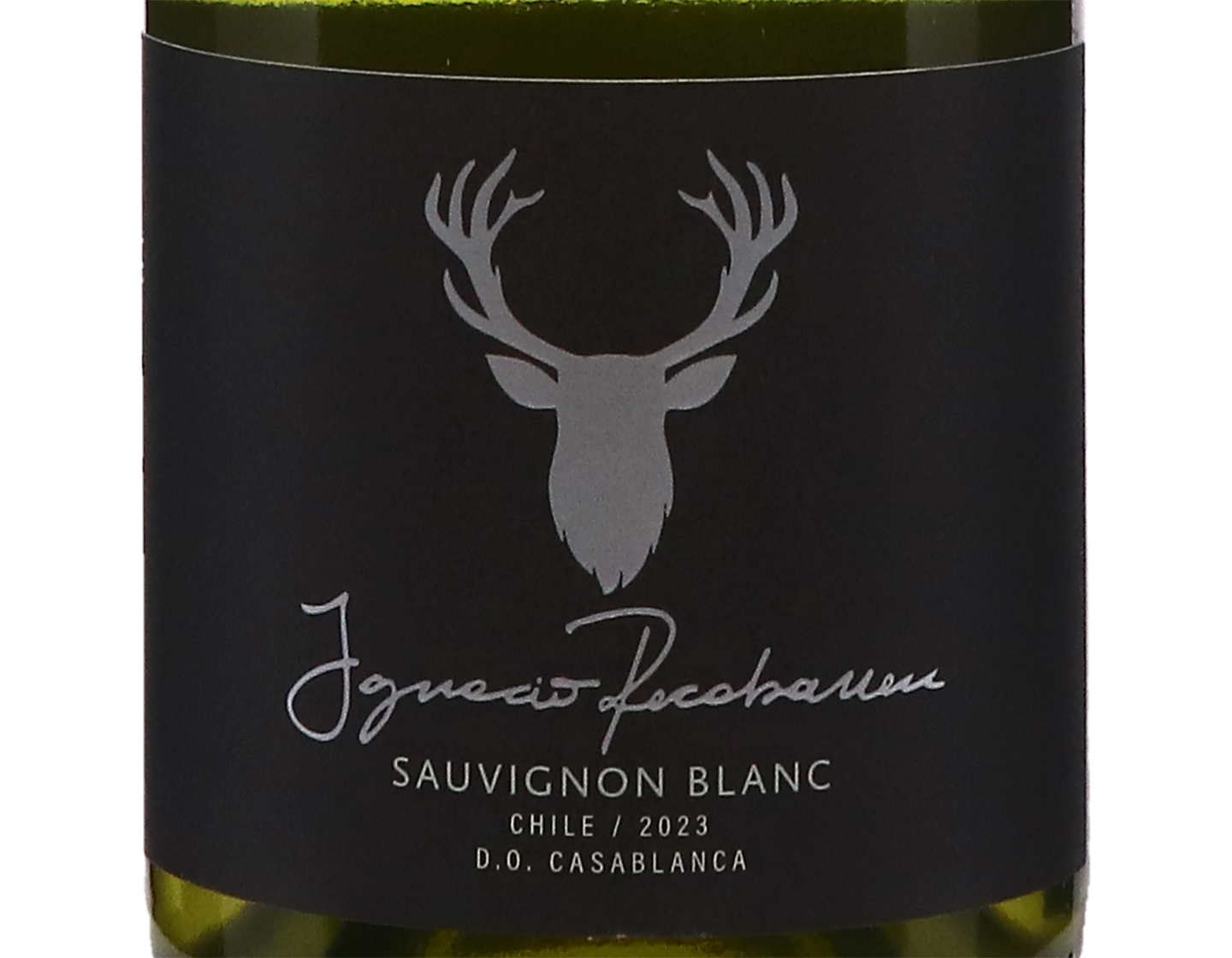 Ignacio Reccabarren Casablanca Sauvignon Blanc 2023