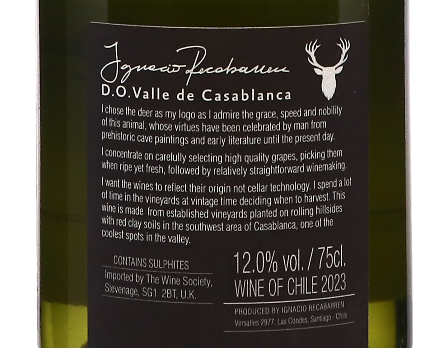 Ignacio Reccabarren Casablanca Sauvignon Blanc 2023