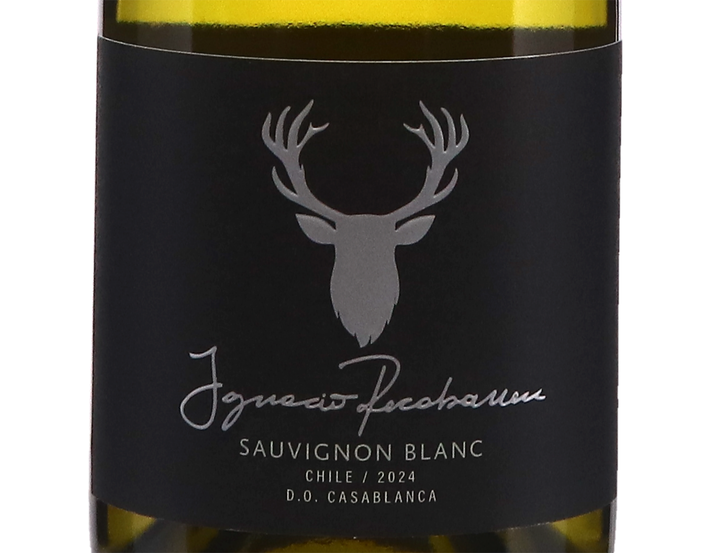 Ignacio Recabarren Casablanca Sauvignon Blanc 2024