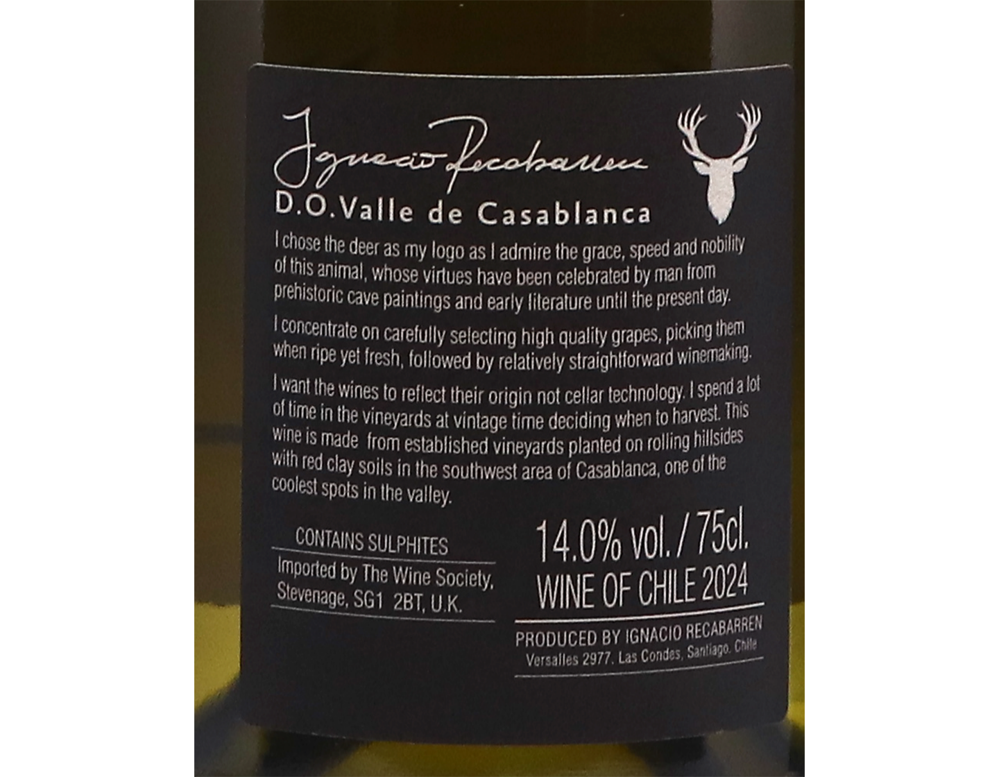 Ignacio Recabarren Casablanca Sauvignon Blanc 2024