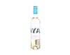 Pinot Blanc Winery Thaya 2025 view 1