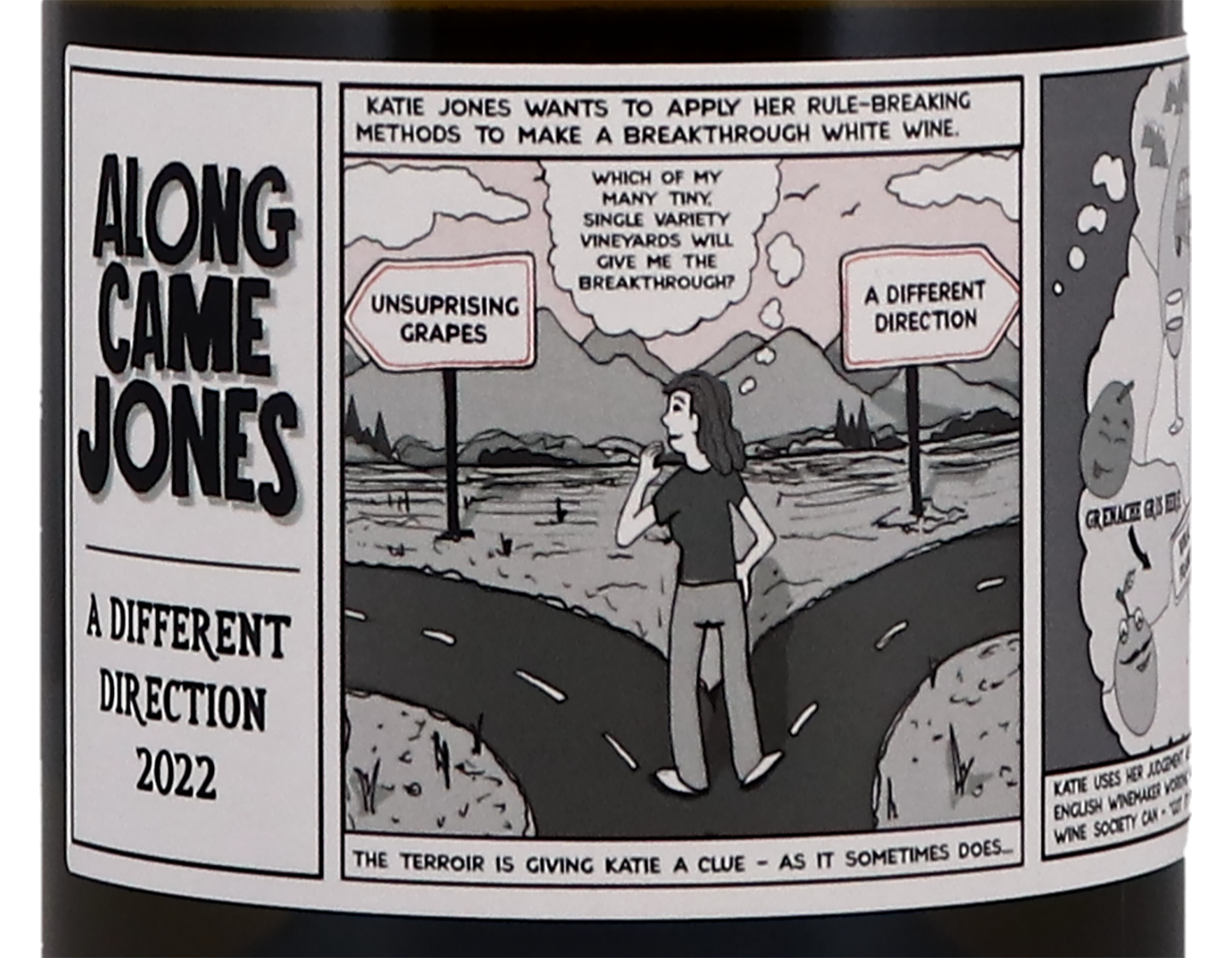Domaine Jones Blanc A Different Direction 2022