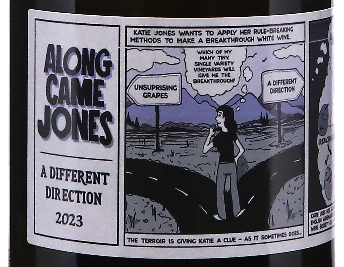 Domaine Jones Blanc A Different Direction 2023