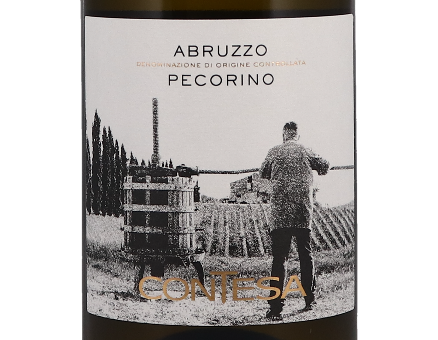 Pecorino Abruzzo Contesa 2022