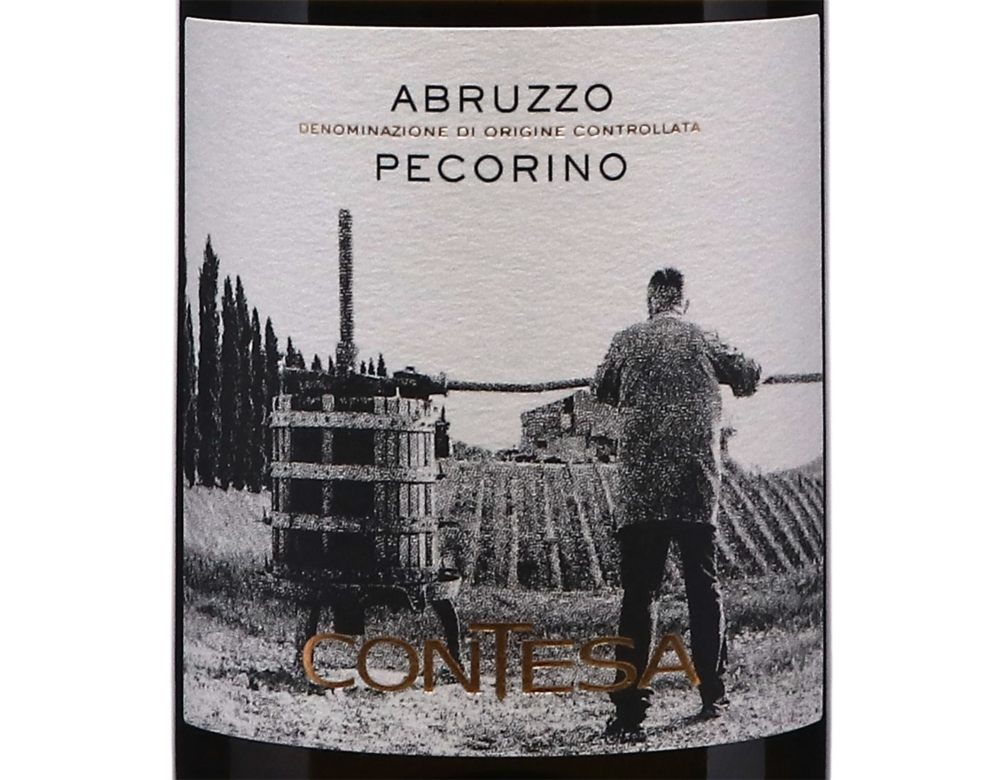 Pecorino Abruzzo Contesa 2023