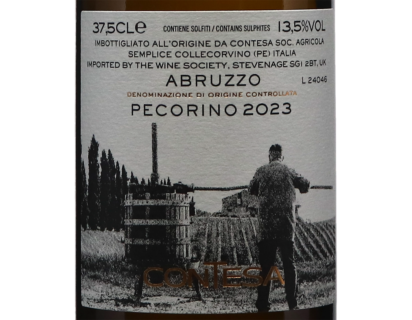 Half bottle of Pecorino Abruzzo Contesa 2023