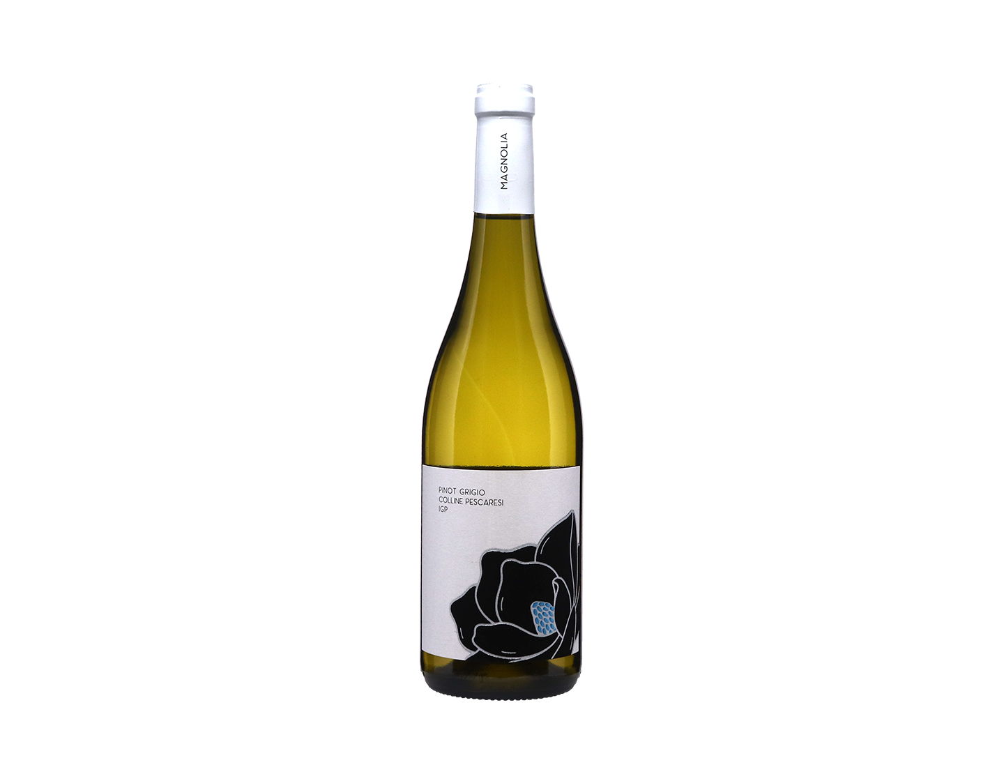 Magnolia Colline Pescaresi Pinot Grigio 2023