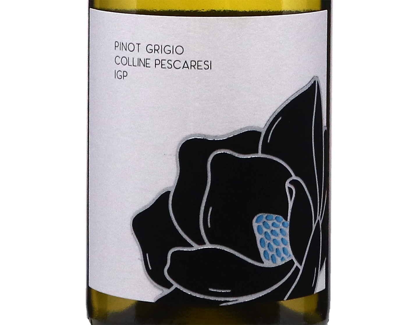 Magnolia Colline Pescaresi Pinot Grigio 2023