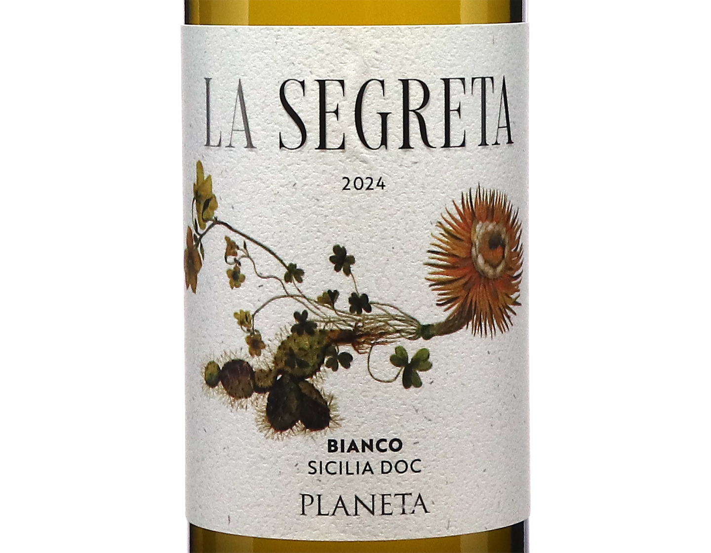 La Segreta Bianco Planeta Sicilia 2024 ORGANIC