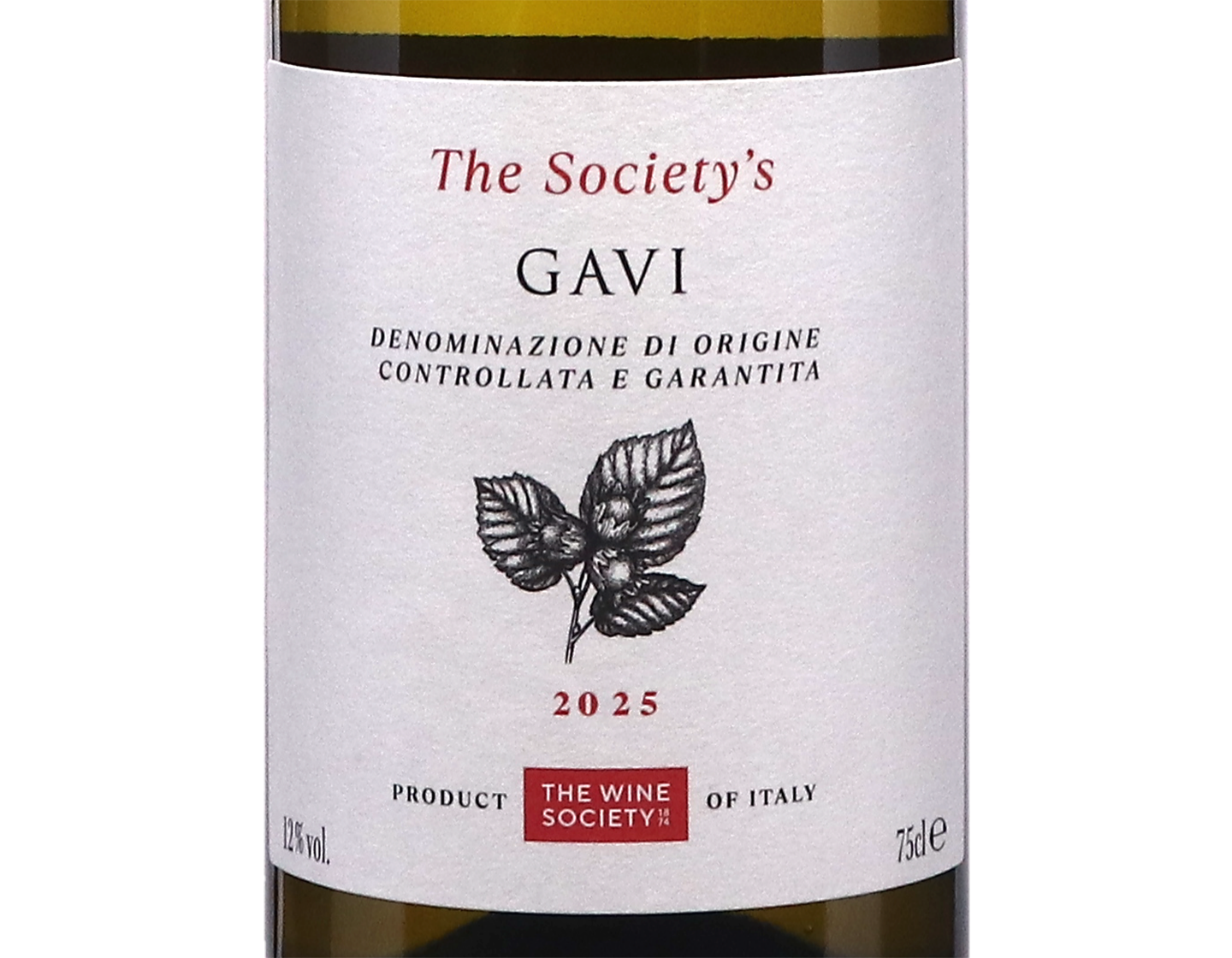 The Society's Gavi 2025