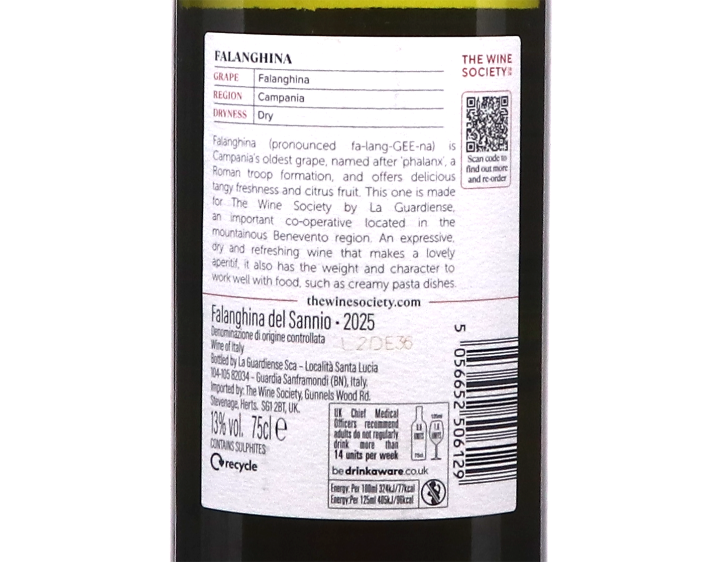 The Society's Falanghina 2025