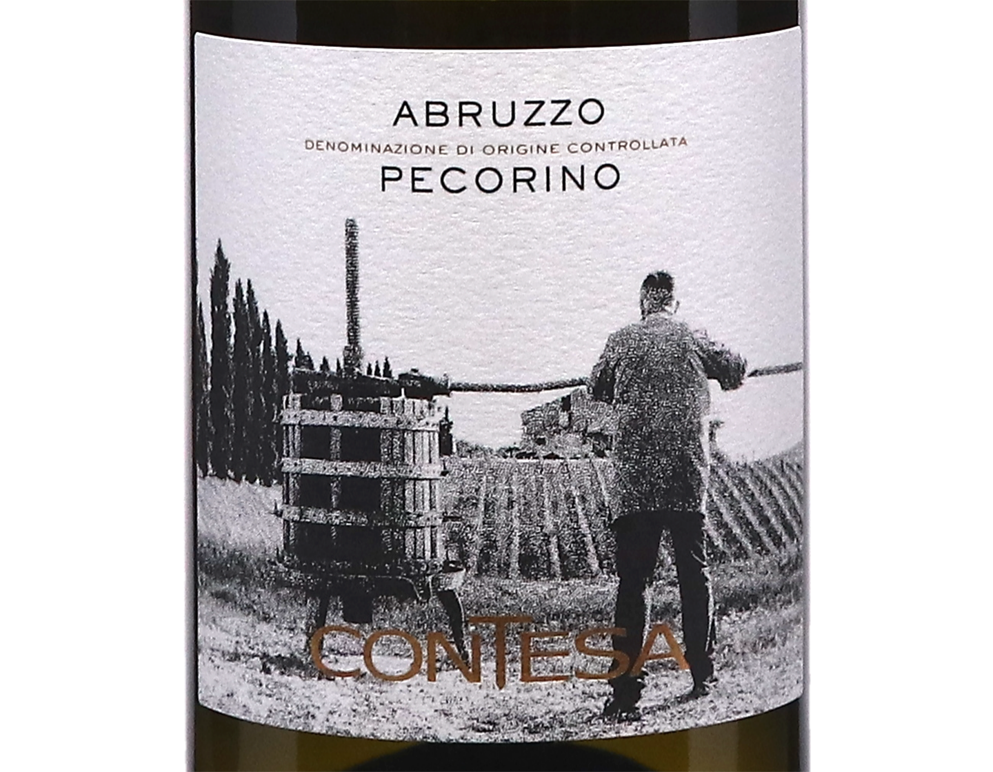 Pecorino Abruzzo Contesa 2025 ORGANIC