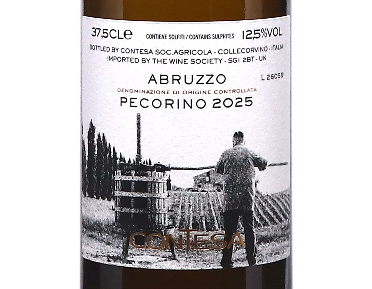 Half bottle of Pecorino Abruzzo, Contesa 2025