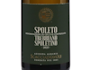 Scacciadiavoli Spoleto Trebbiano Spoletino 2025 view 2