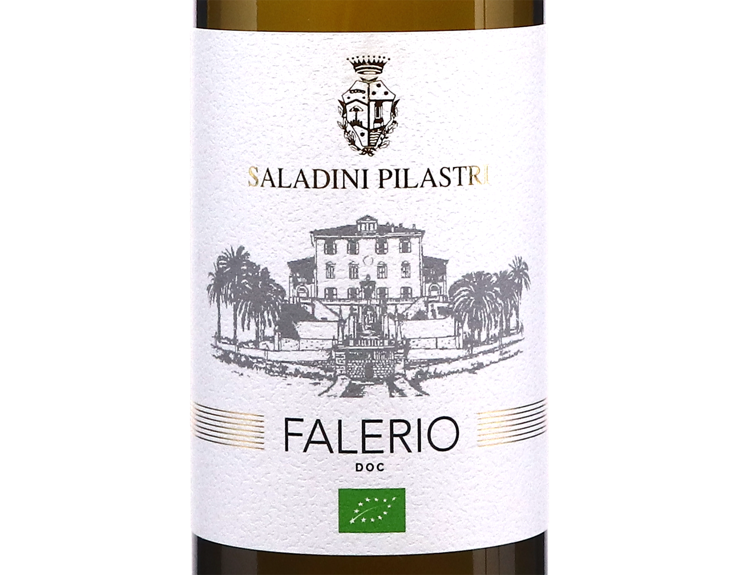 Falerio dei Colli Ascolani Saladini Pilastri 2025 ORGANIC