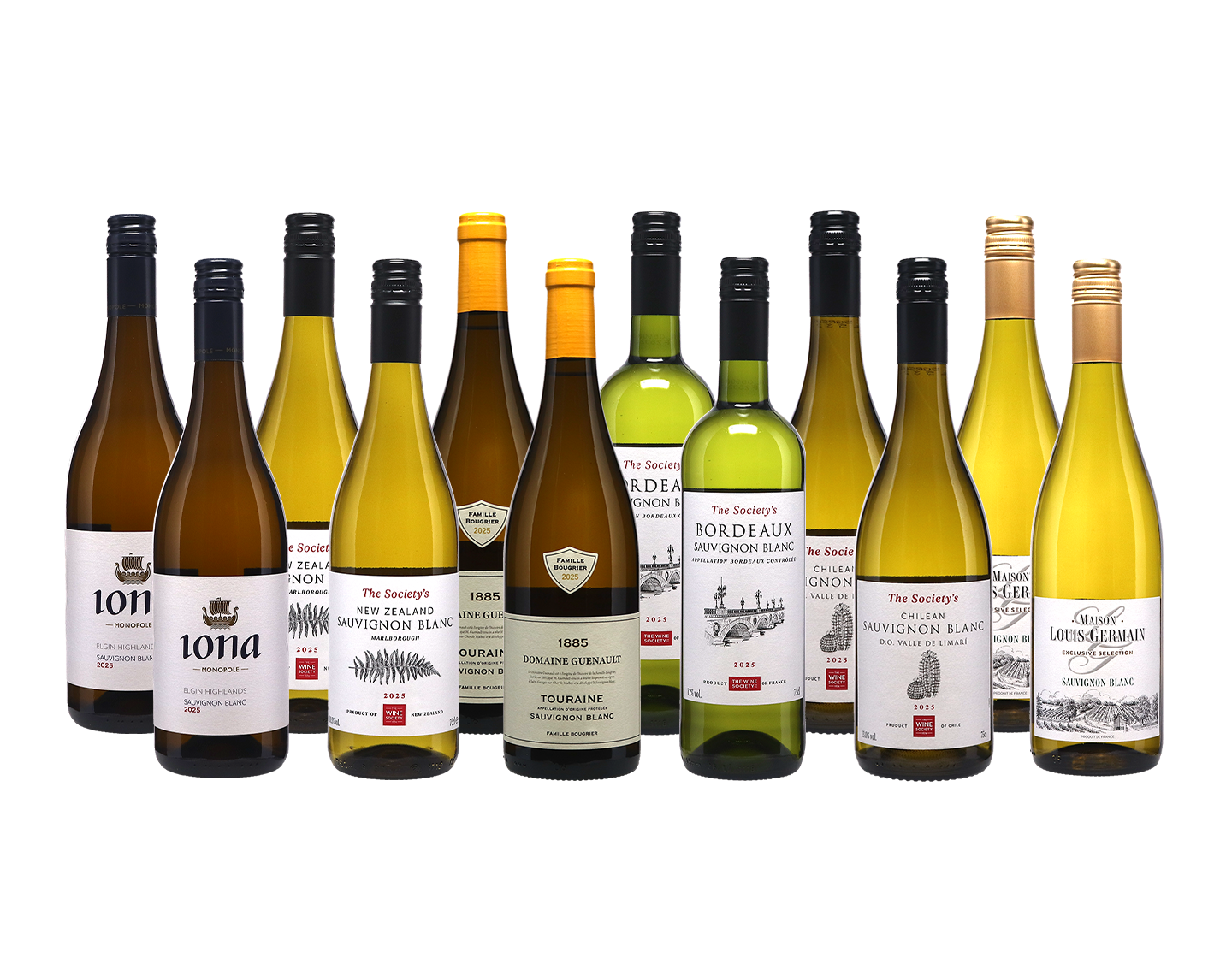 Anyday Sauvignon Mixed Case