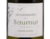 Saumur Blanc ‘Les Plantagenêts' 2020 view 3