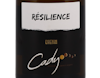 Resilience Chenin 2020 view 2