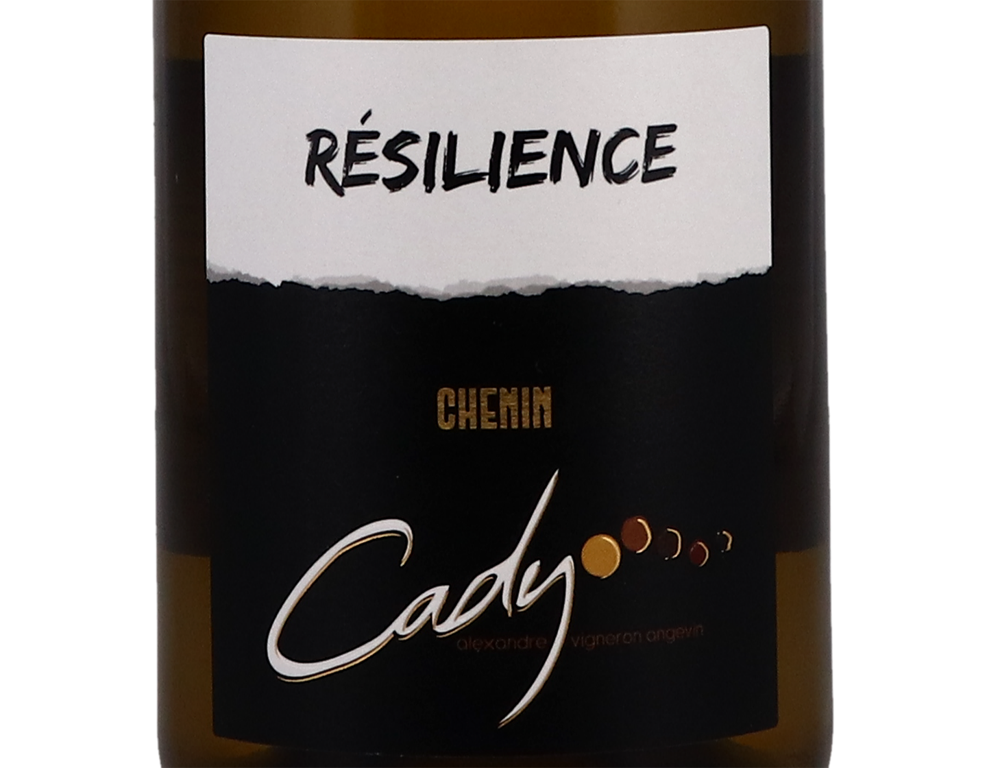 Vin de France Resilience Chenin Blanc Cady 2021