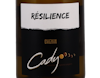 Vin de France Resilience Chenin Blanc Cady 2021 view 2