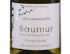 Saumur Blanc 'Les Plantagenêts' 2025 view 2