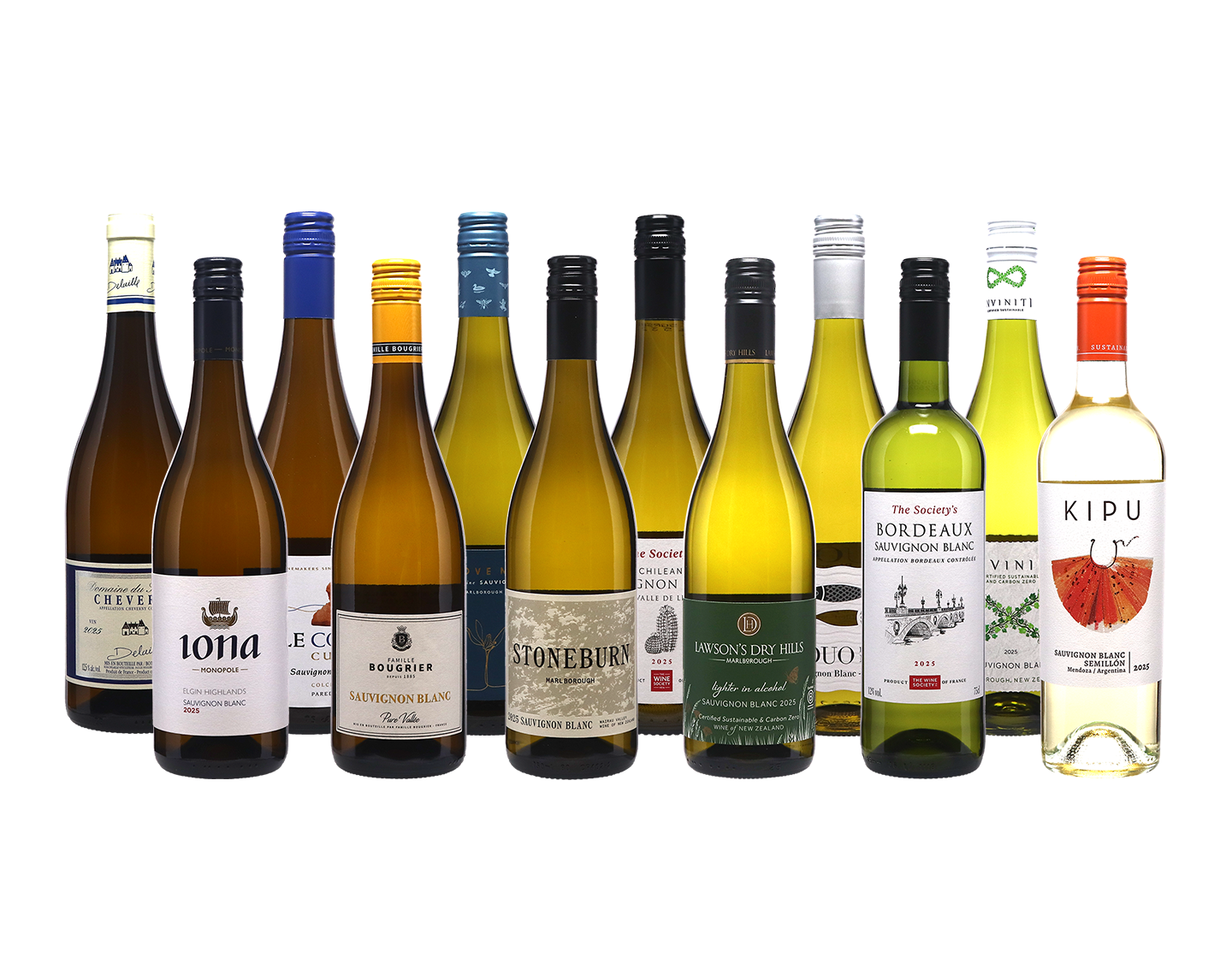 A World of Sauvignon Blanc Mixed Case
