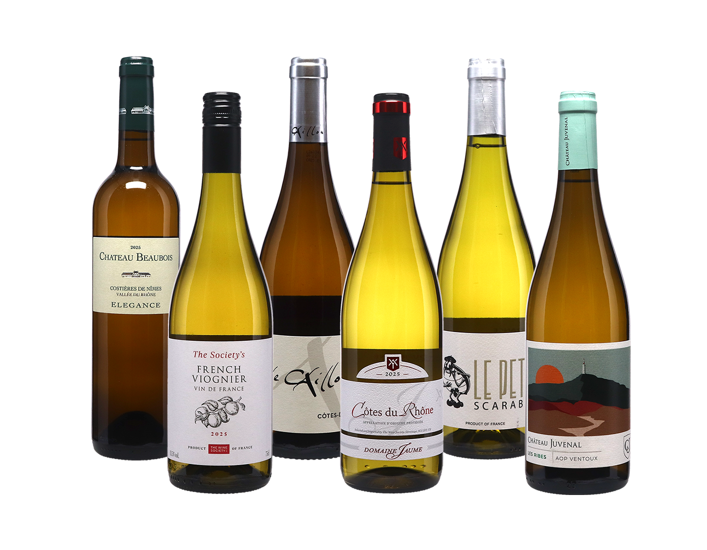 2025 White Rhône Case