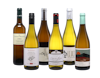 2025 White Rhone Case 6x1 view 1