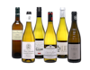 2025 White Rhone Case 6x1 view 1