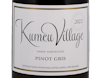 Kumeu Village Pinot Gris 2022 view 2
