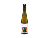 Riesling 2023 Kamil Barczentewicz