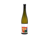 Gewürztraminer, Kamil Barczentewicz 2024