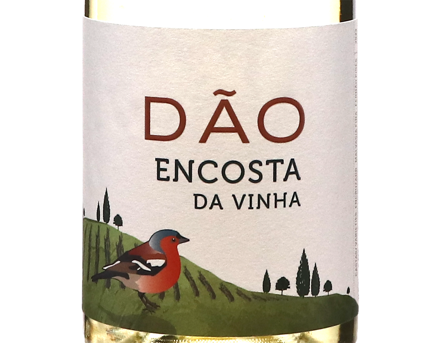 Encosta da Vinha Branco, Dão 2023