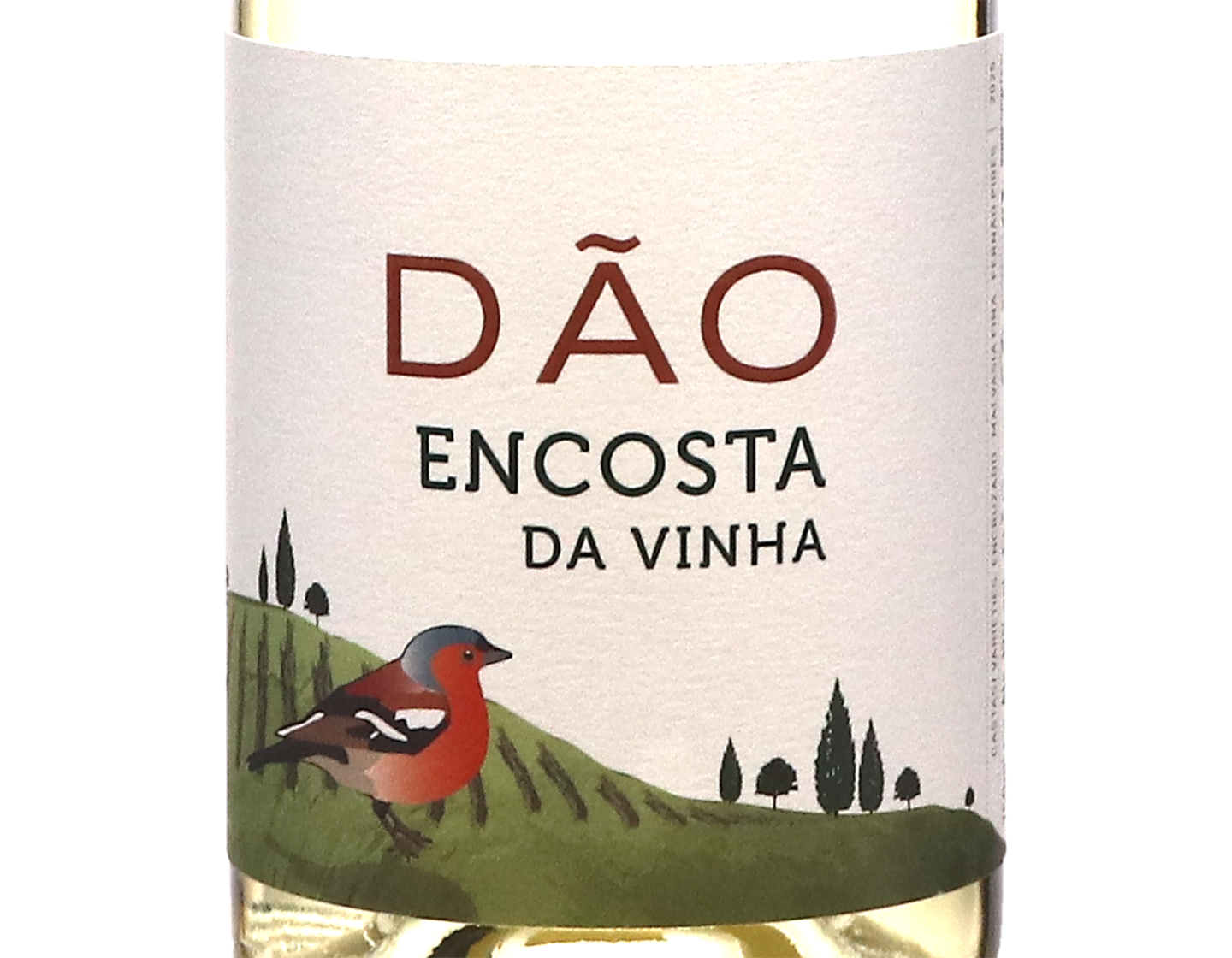 Encosta da Vinha Branco, Dão 2025