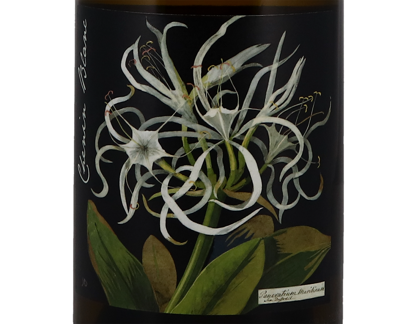Botanica Mary Delany Chenin Blanc Citrusdal Mt 2022