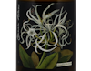 Botanica Mary Delany Chenin Blanc Citrusdal Mt 2022 view 2