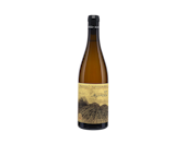 Alheit 'Magnetic North' Citrusdal Mountains 2023 MX ONLY