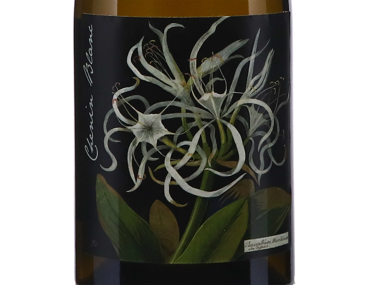 Botanica Mary Delany Chenin Blanc Citrusdal Mountains 2023