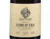 Scions of Sinai Granietsteen Chenin Blanc Stellenbosch 2025 view 2