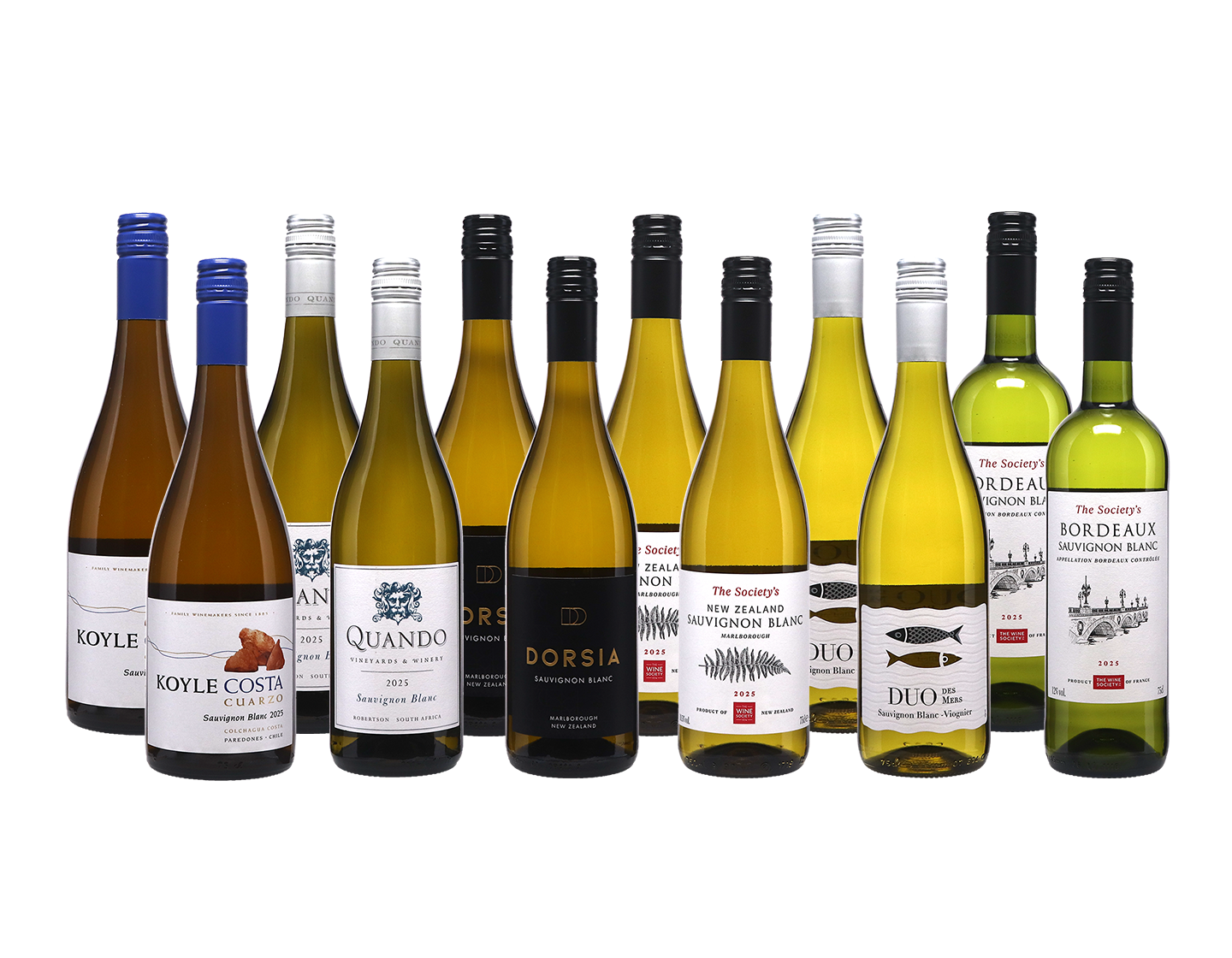 Anyday Sauvignon Blanc