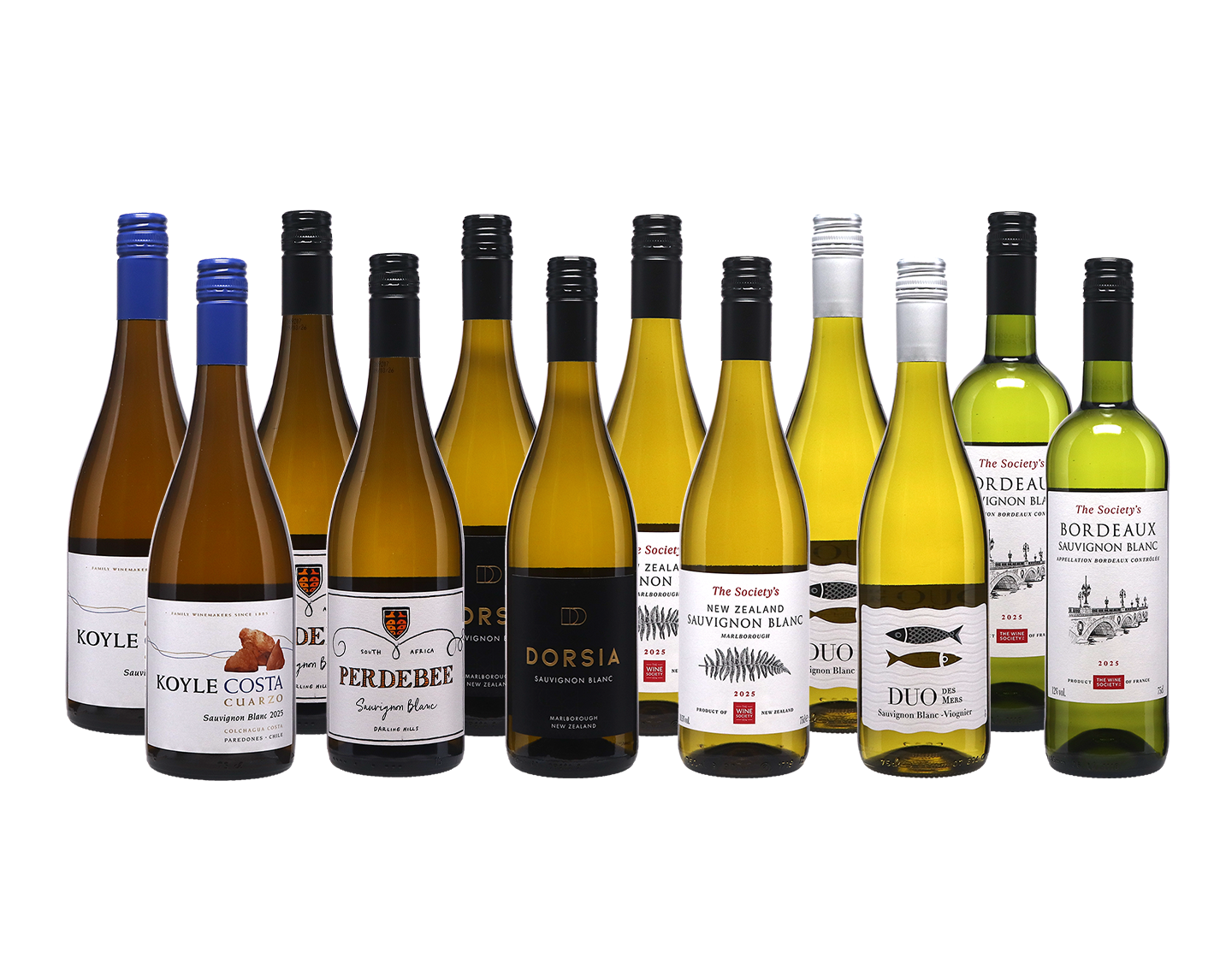 Anyday Sauvignon Blanc