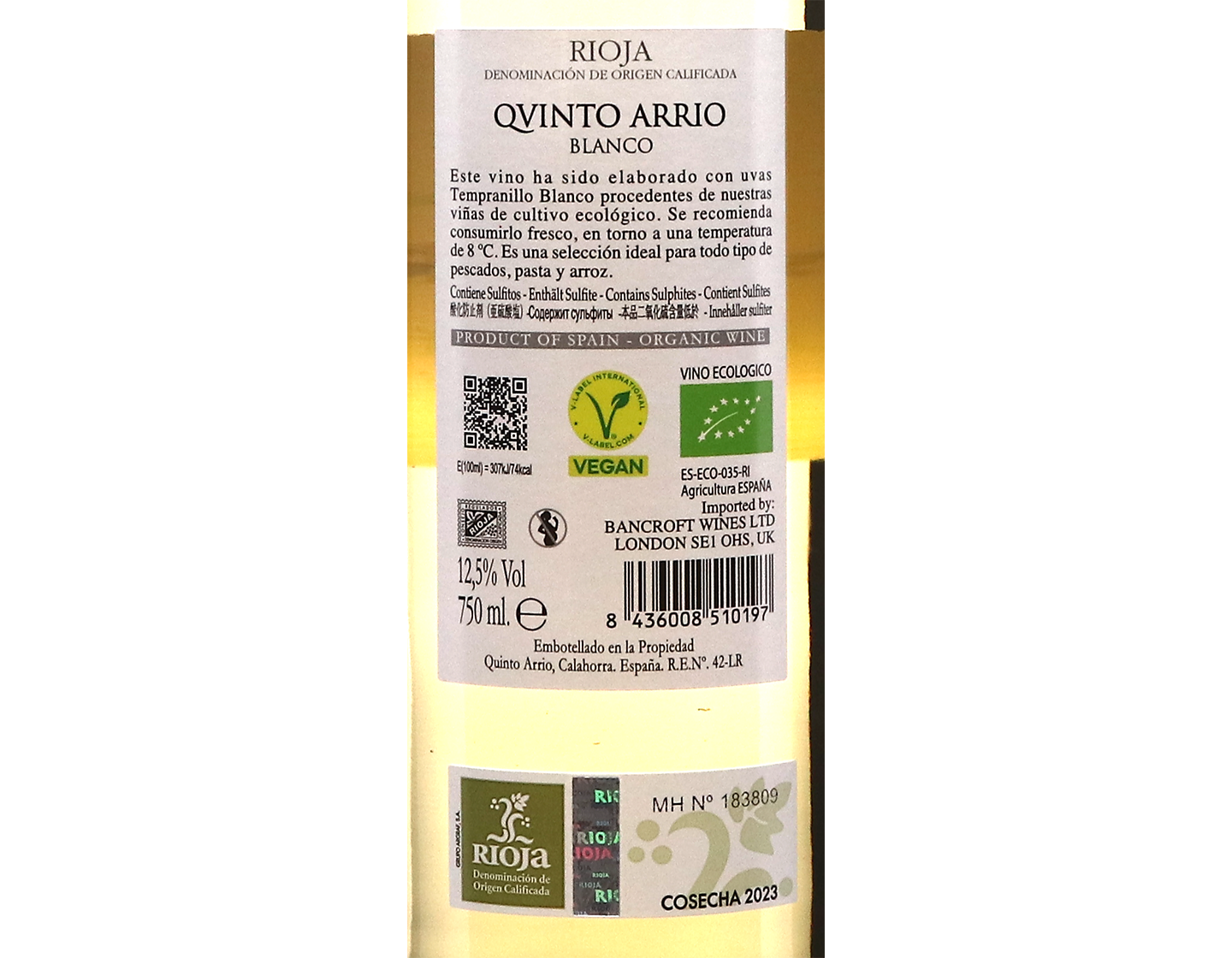 Qvinto Arrio Tempranillo Blanco Rioja 2023