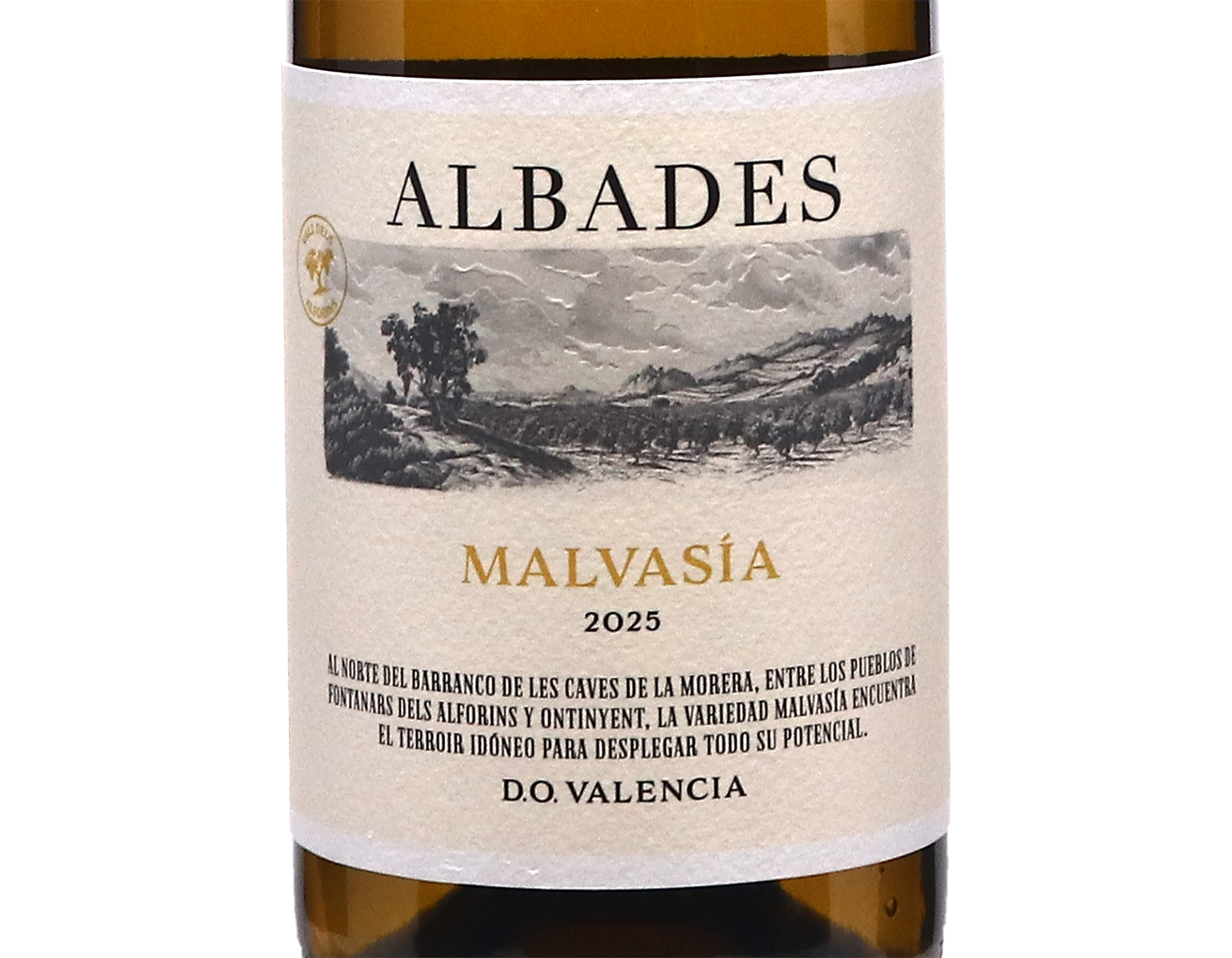 Albades Malvaisa Valencia 2025