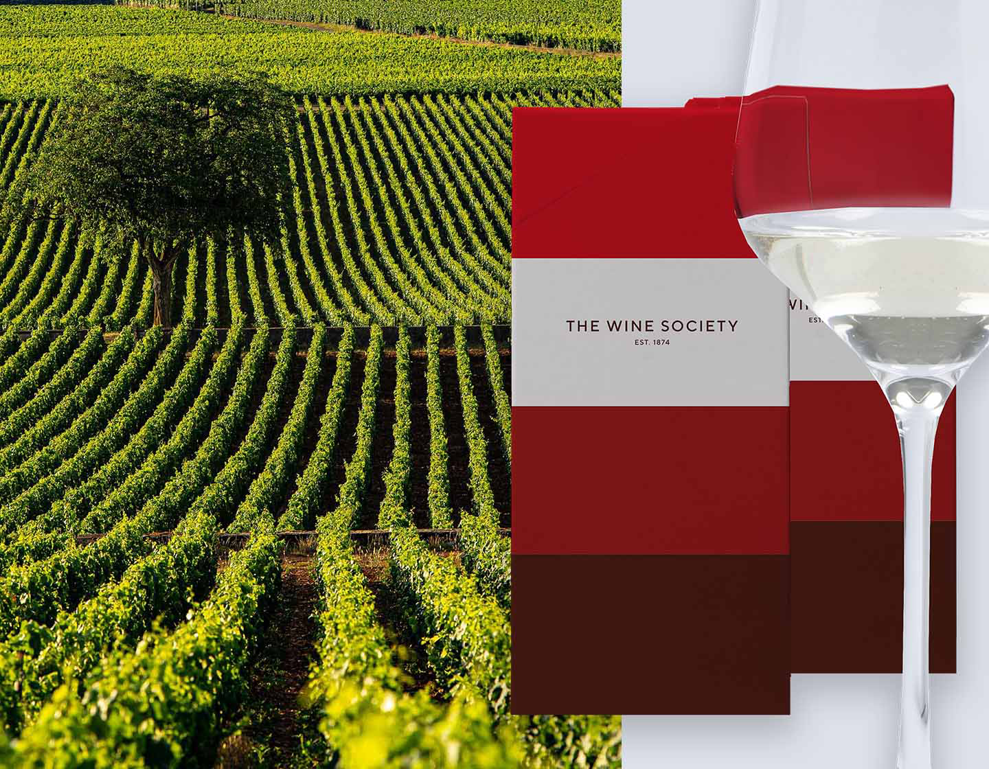 Fine Wine White Burgundy Tasting Kit