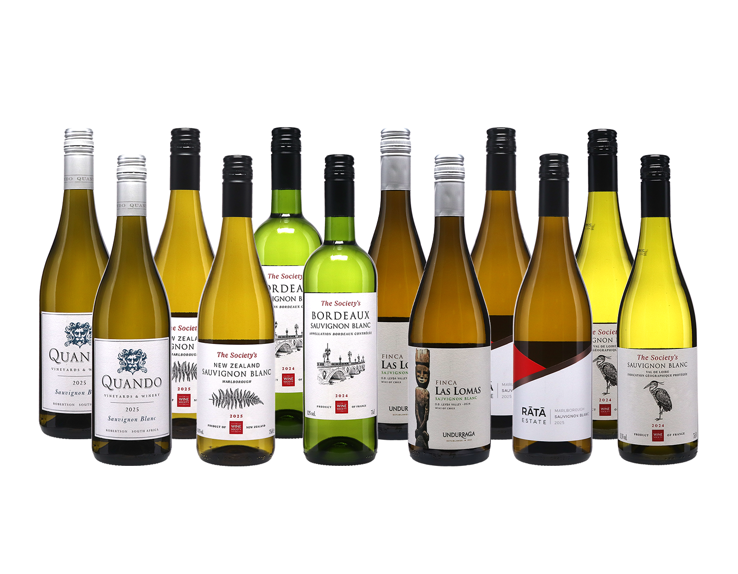 Anyday Sauvignon Blanc Case