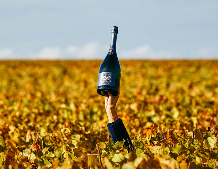 Champagne Heidsieck 735x572